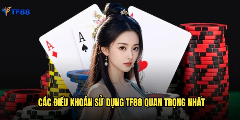 Các điều khoản sử dụng Tf88 quan trọng nhất