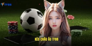 kèo châu âu Tf88