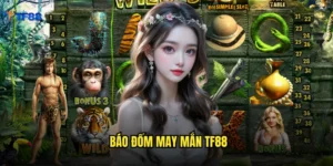 báo đốm may mắn Tf88