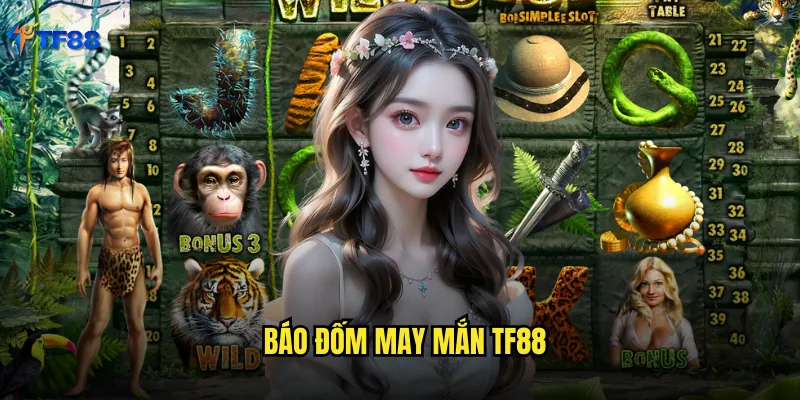 báo đốm may mắn Tf88